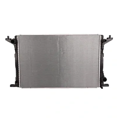 Radiador BF0426790169 Bapmic