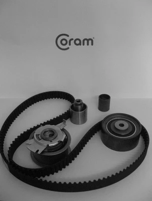 Kit de correa de distribución 03L198119 VAG