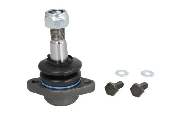 RH030032 Reinhoch