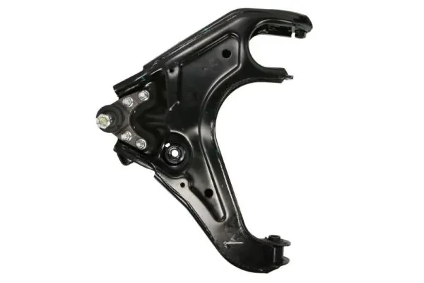 RH044060 Reinhoch