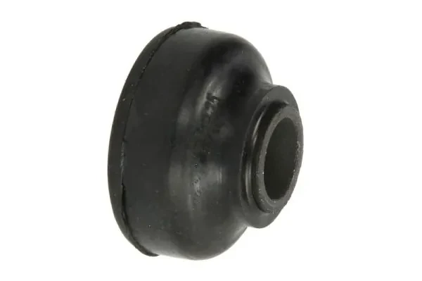 RH141007 Reinhoch