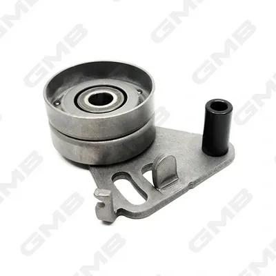 Tensor de la correa de distribución GMB GT80620