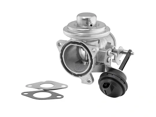 Válvula EGR 7293D Borg-Warner