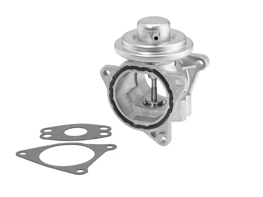 Válvula EGR 7496D Borg-Warner