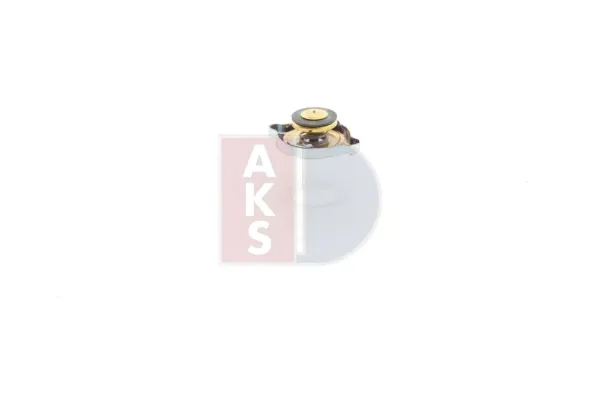 Tapa radiador 750670N Dasis