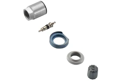 Soporte del sensor de presión de neumáticos CONTINENTAL S180084520A