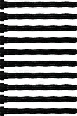 Tornillo culata T5003400 Glaser