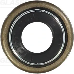 Retenes de válvulas Renault Trucks MAGNUM I