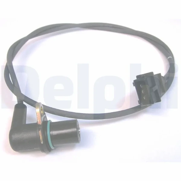 SS1071212B1 Delphi