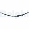 LH6919 Delphi