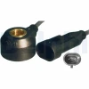 AS1013412B1 Delphi