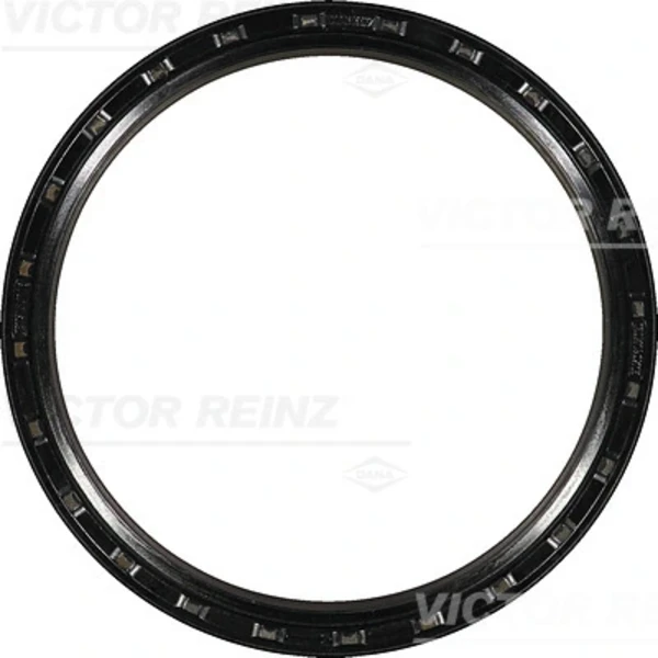 812311330 Victor Reinz