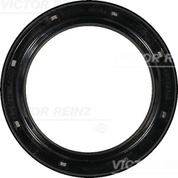 811740410 Victor Reinz