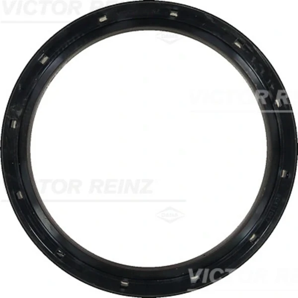 813655600 Victor Reinz