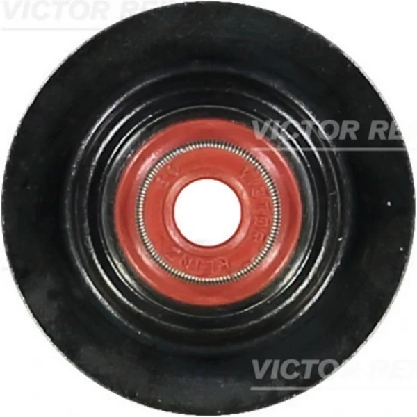 703440600 Victor Reinz