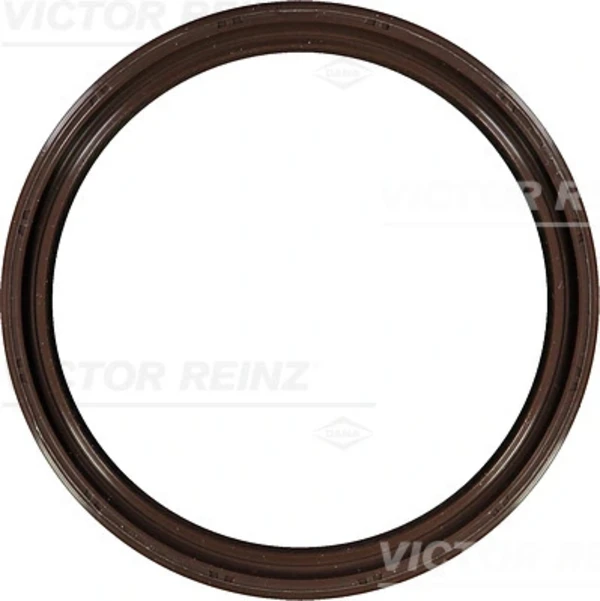 815355600 Victor Reinz