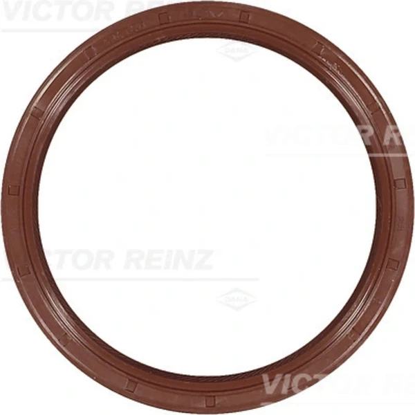 813664400 Victor Reinz