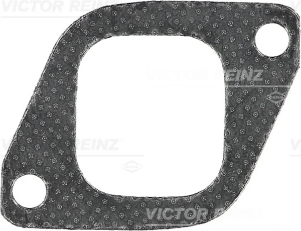 713788400 Victor Reinz