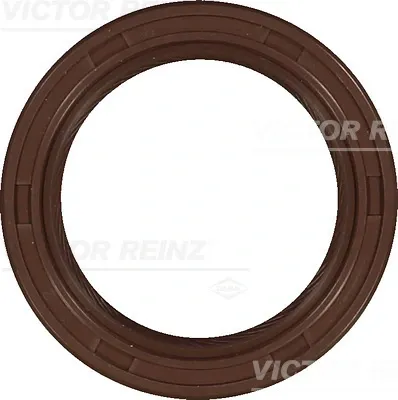 813387100 Victor Reinz