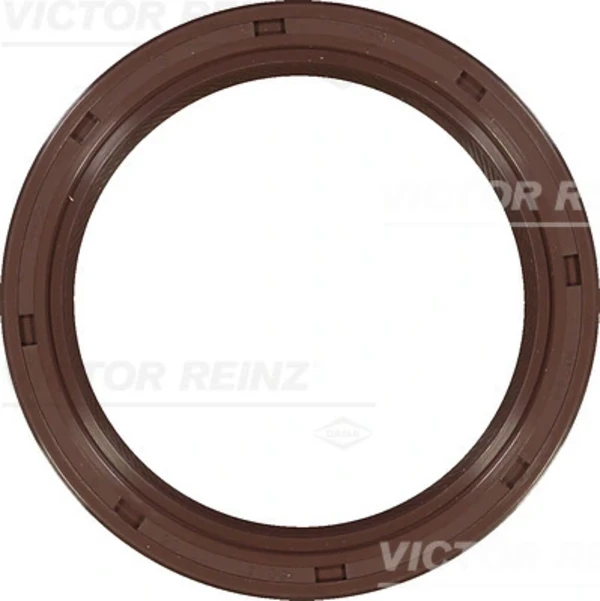 815428300 Victor Reinz
