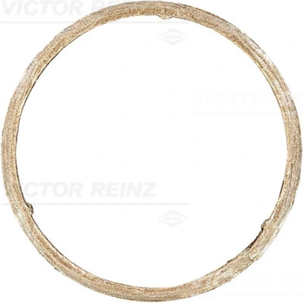 711139900 Victor Reinz