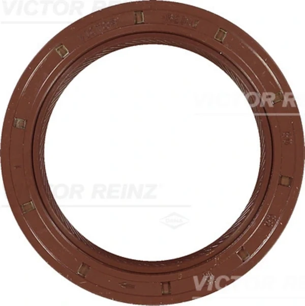 811673720 Victor Reinz