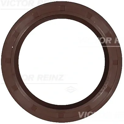 813507400 Victor Reinz