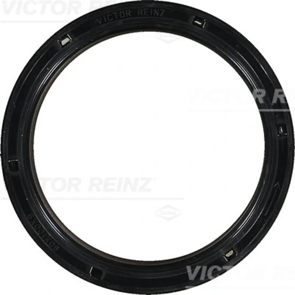 813505100 Victor Reinz