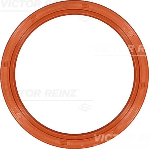 813588100 Victor Reinz