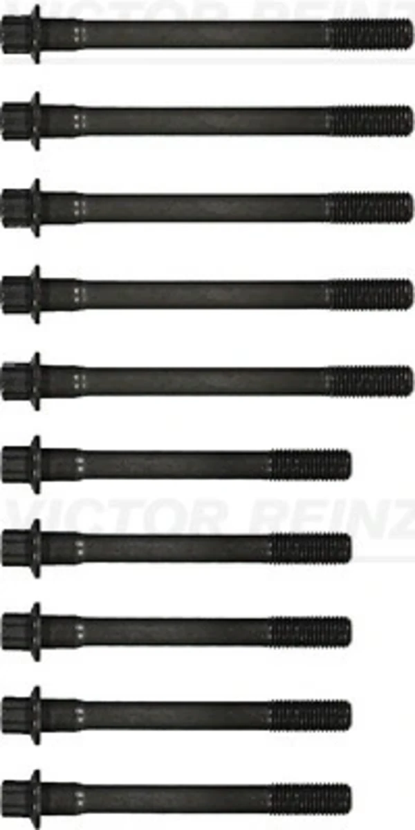 145500201 Victor Reinz