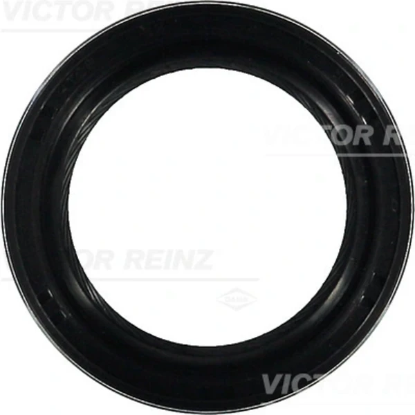 815323900 Victor Reinz