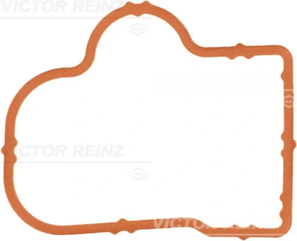 713620300 Victor Reinz
