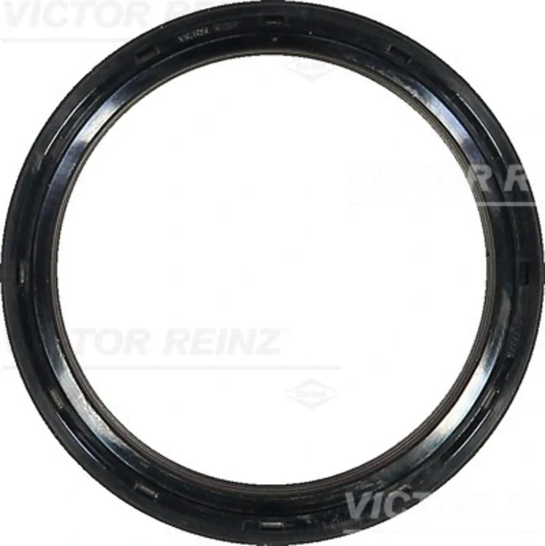 814121900 Victor Reinz