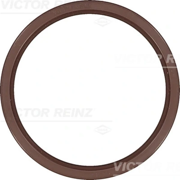 813823100 Victor Reinz