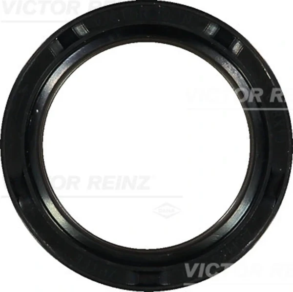 813436600 Victor Reinz