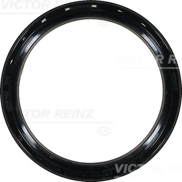 813743900 Victor Reinz