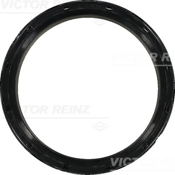 813405700 Victor Reinz