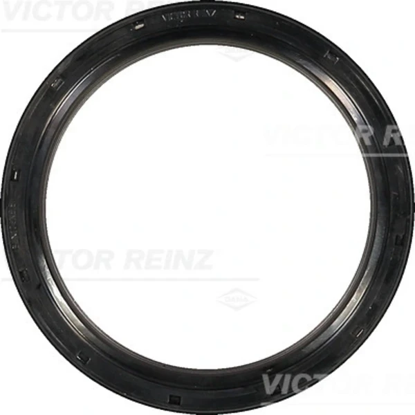 813555300 Victor Reinz