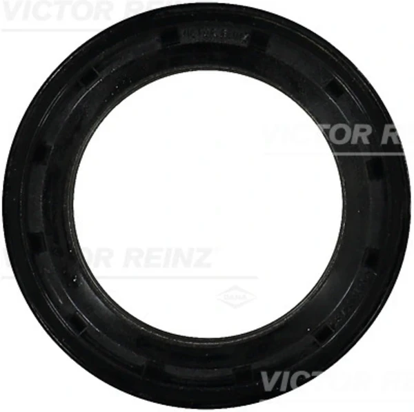 811043300 Victor Reinz