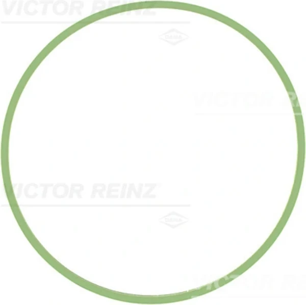 713763100 Victor Reinz