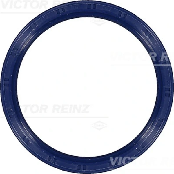 815333100 Victor Reinz