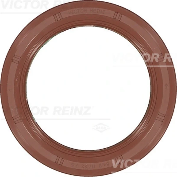 815411100 Victor Reinz