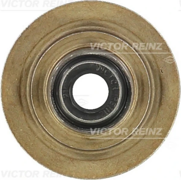 703105600 Victor Reinz