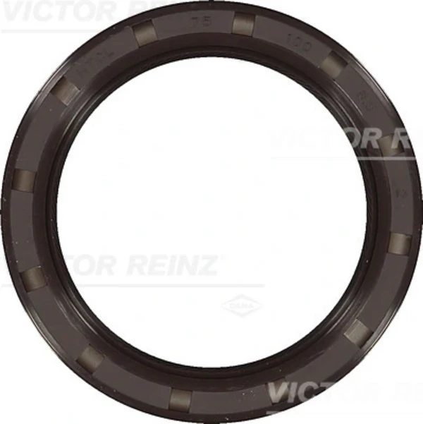 815331100 Victor Reinz