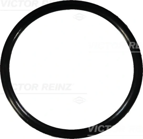 407636700 Victor Reinz