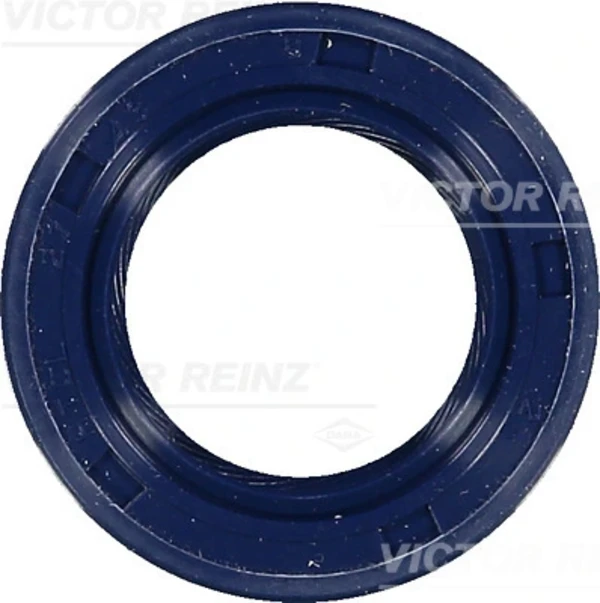815321900 Victor Reinz