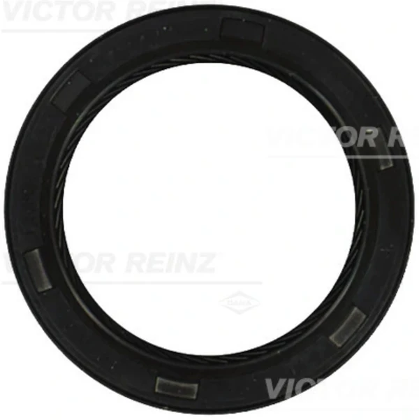 813422700 Victor Reinz
