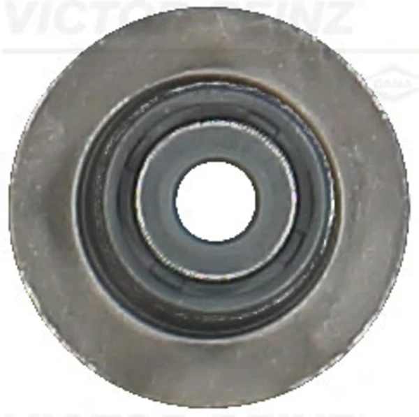 705420600 Victor Reinz