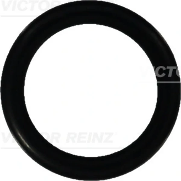 407605210 Victor Reinz