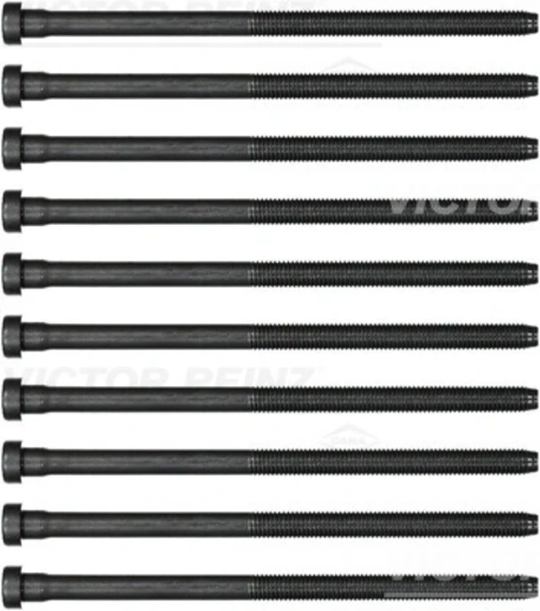 143238401 Victor Reinz